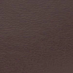 Adriaana - Image 2