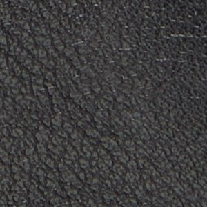 Bethanne - Image 2