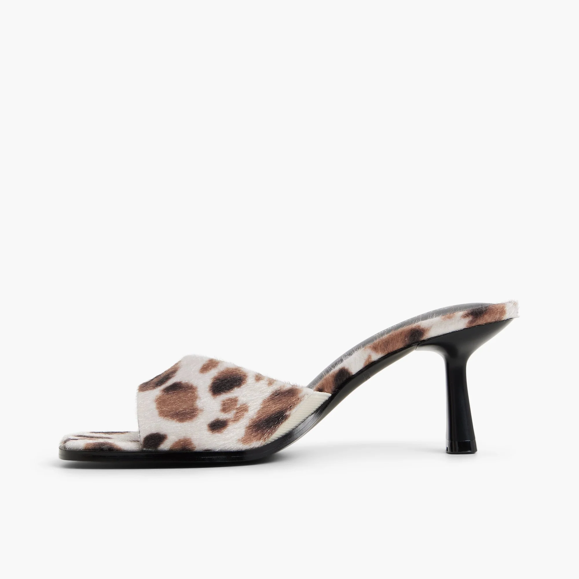 Cassiee - Image 6
