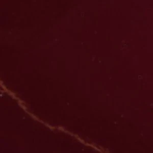 Evelyynn - Image 2