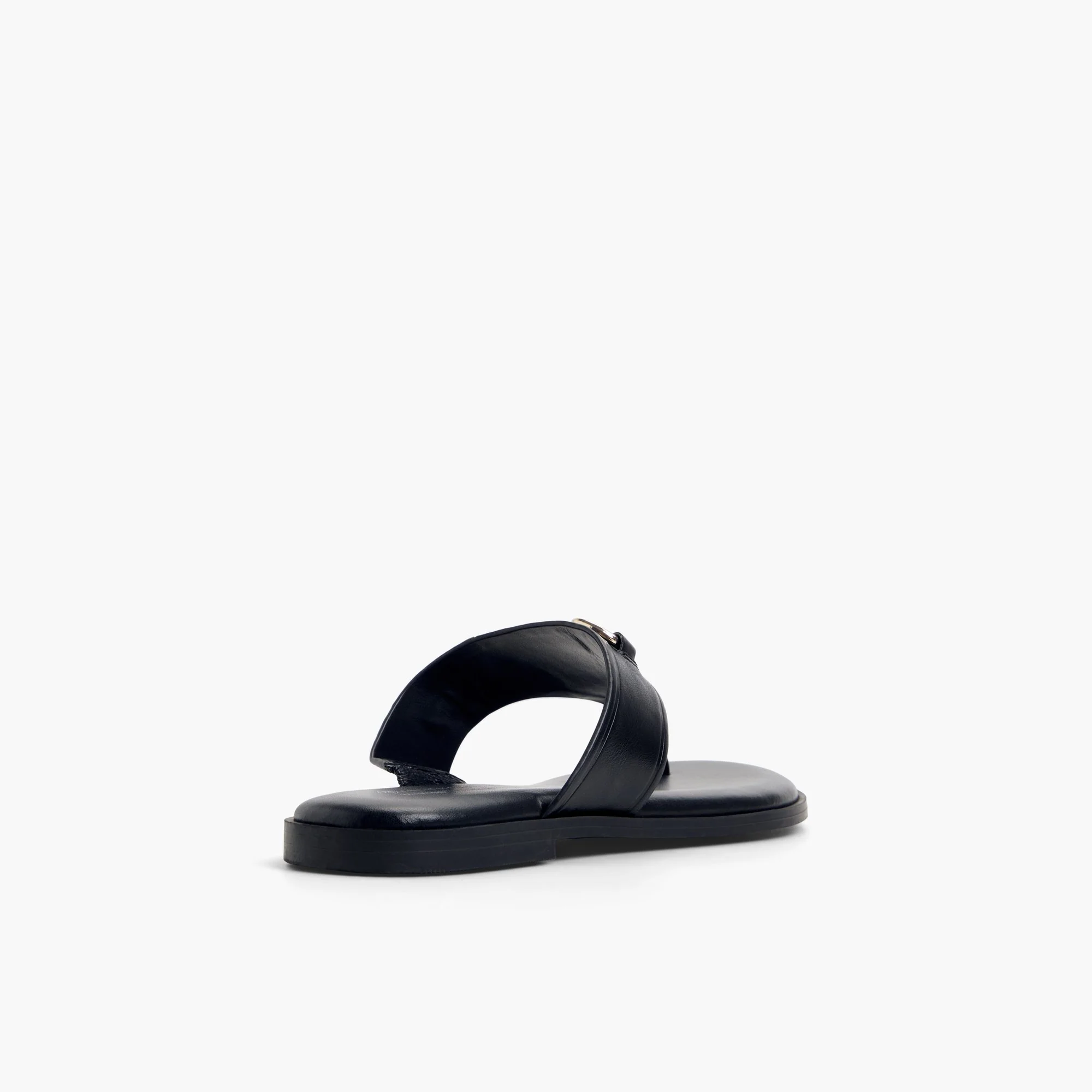 Evodie - Image 3