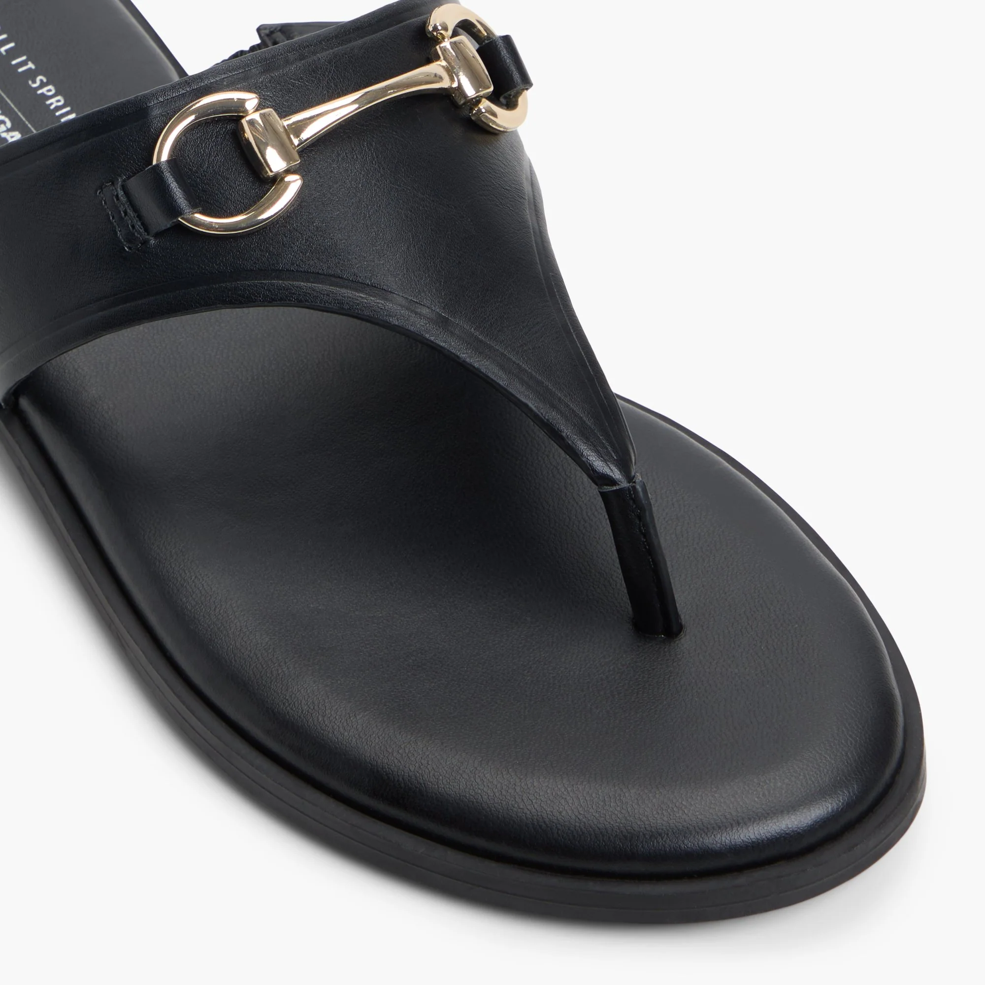 Evodie - Image 6