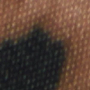 Fiercee - Image 2