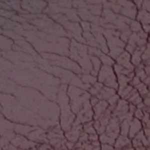 Kendrra - Image 2