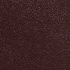 Madeliine - Image 2