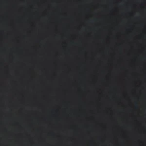 Pandora - Image 2