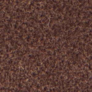 Pantheraa - Image 2