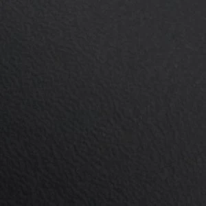 Pantherra - Image 2