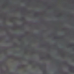 Quincie - Image 2