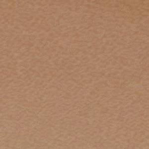 Rachylle - Image 2