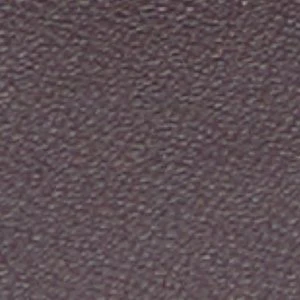 Rachylle - Image 2