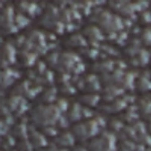 Raia - Image 2