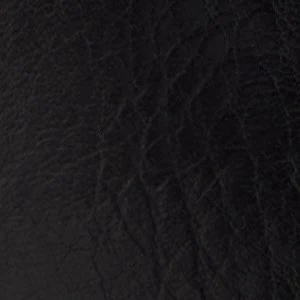 Sareena - Image 2