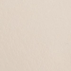 Taliia - Image 2