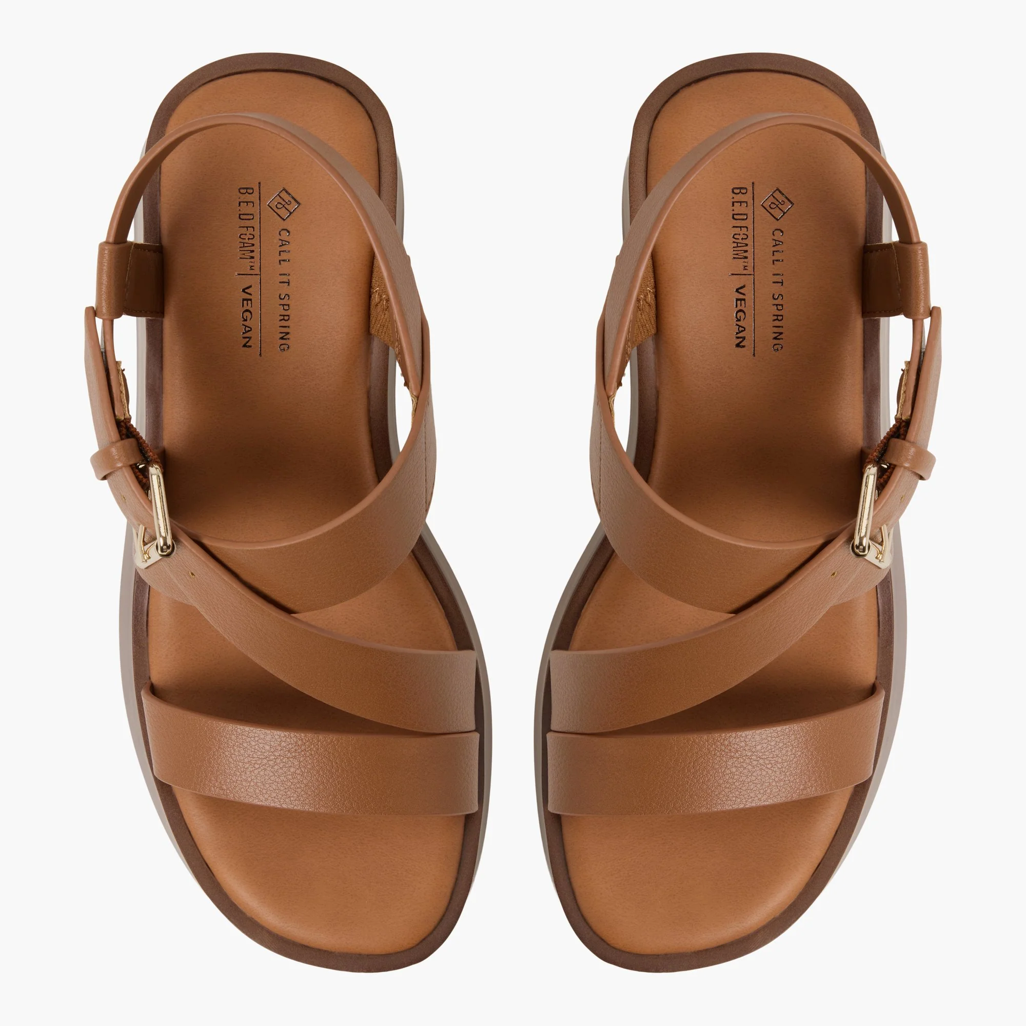 Teigan - Image 7