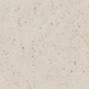 Walter's Men's Vegan Insoles - Image 2