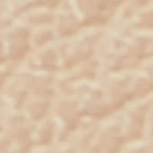 Winsloww - Image 2